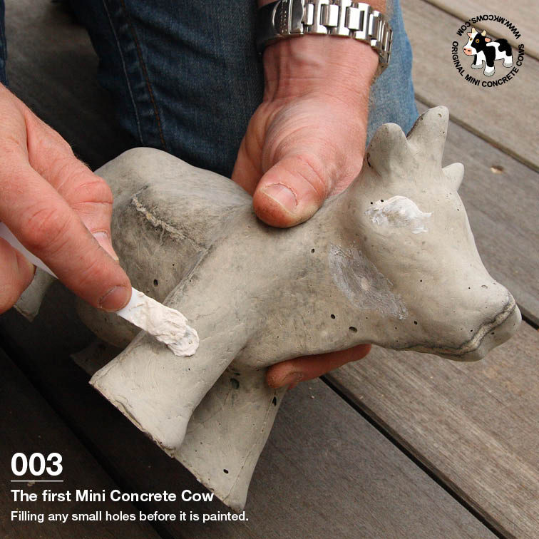 Making the First Large Mini Concrete Cows