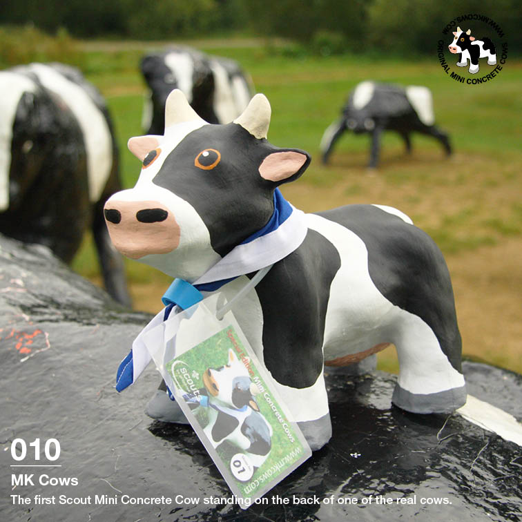 100 Scout Mini Concrete Cows