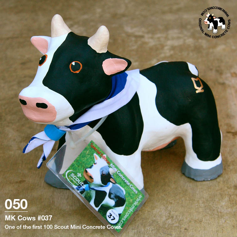 Individual Photos of First 100 Scout Mini Concrete Cows