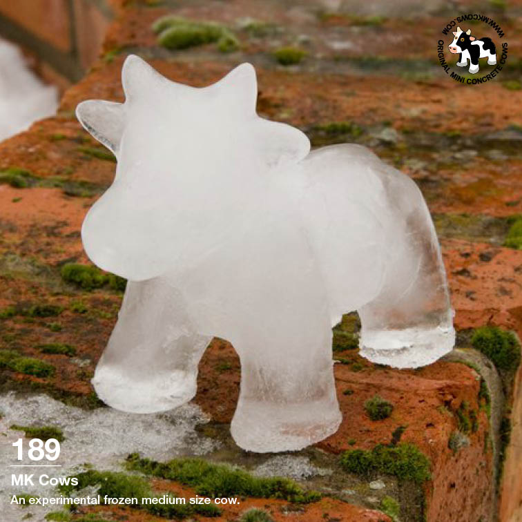 Medium Mini Concrete Cow Made of Ice