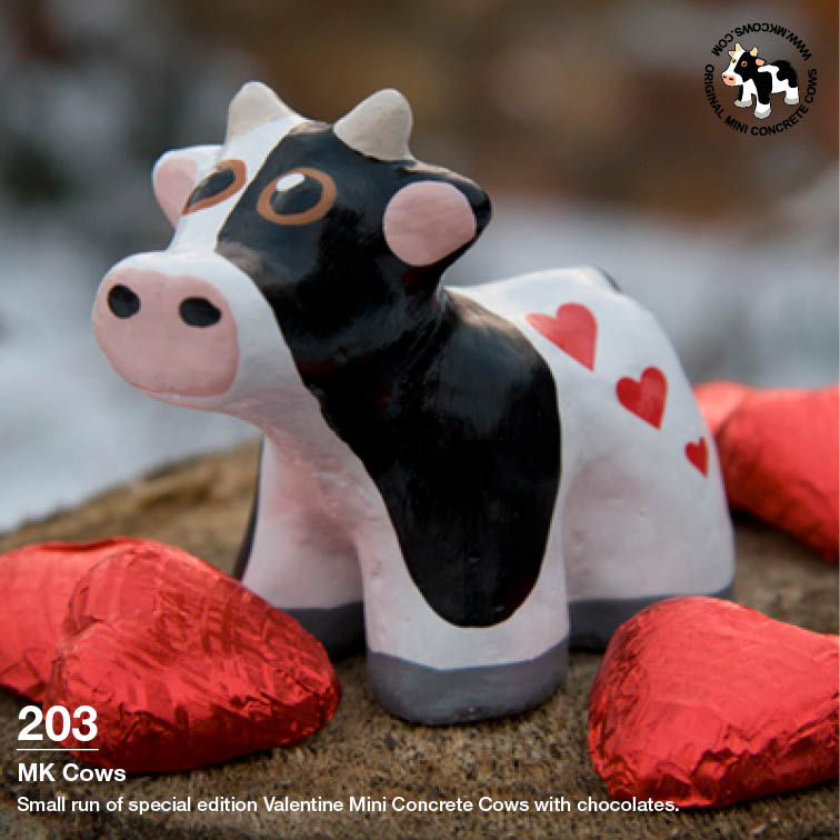Valentine Cows with Chocolates
