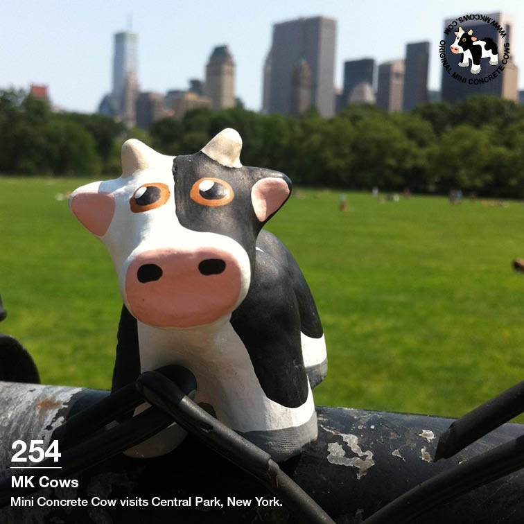 Small Mini Concrete Cow Visits Central Park in New York