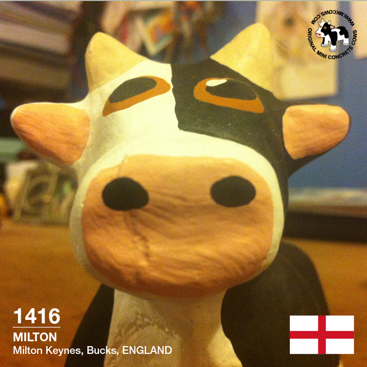 MK Cows Family - 1416