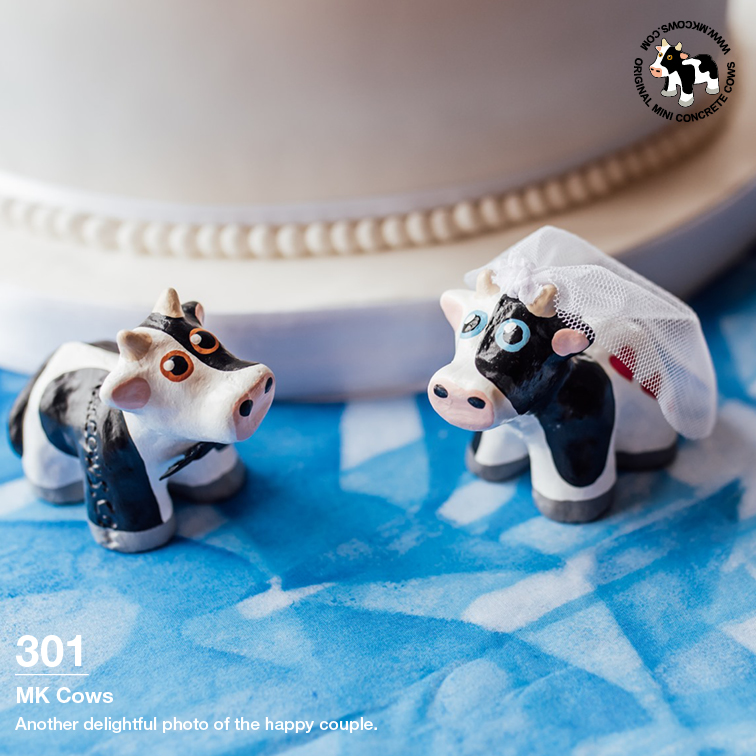 Wedding Cows, the perfect Wedding Gift