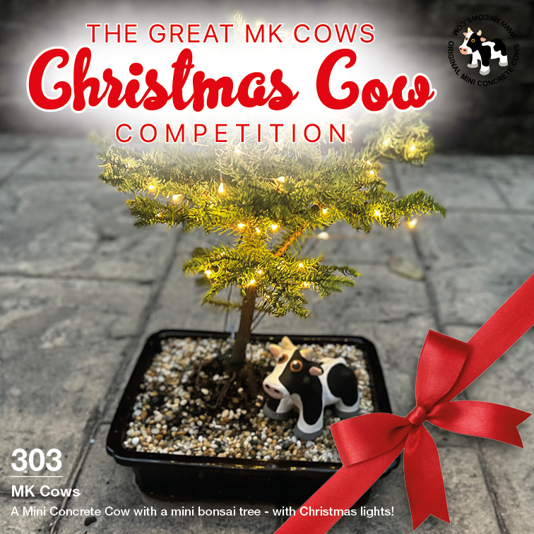 The Great Christmas Cow Competition 2021