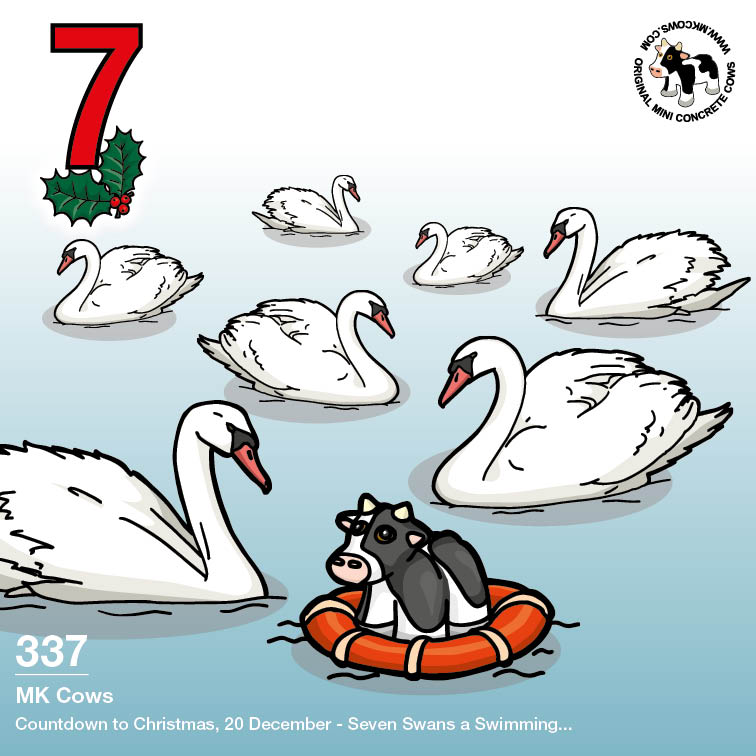 On the seventh day of Christmas my moo cow gave to me... seven swans a swimming (with a Mini Concrete Cow floating nearby!)